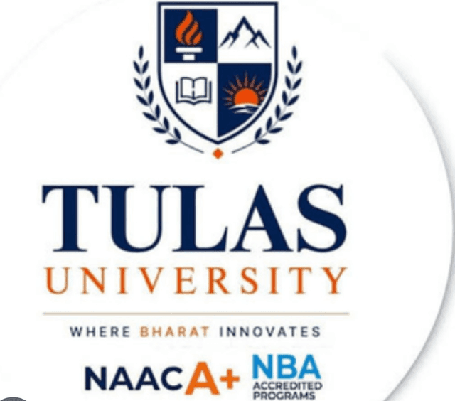 Tula's University Official Logo Card